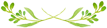 img_1.png